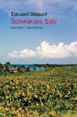 Schwarzes Salz