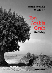 Ibn Arabis Grab